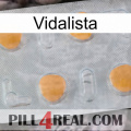 Vidalista 24